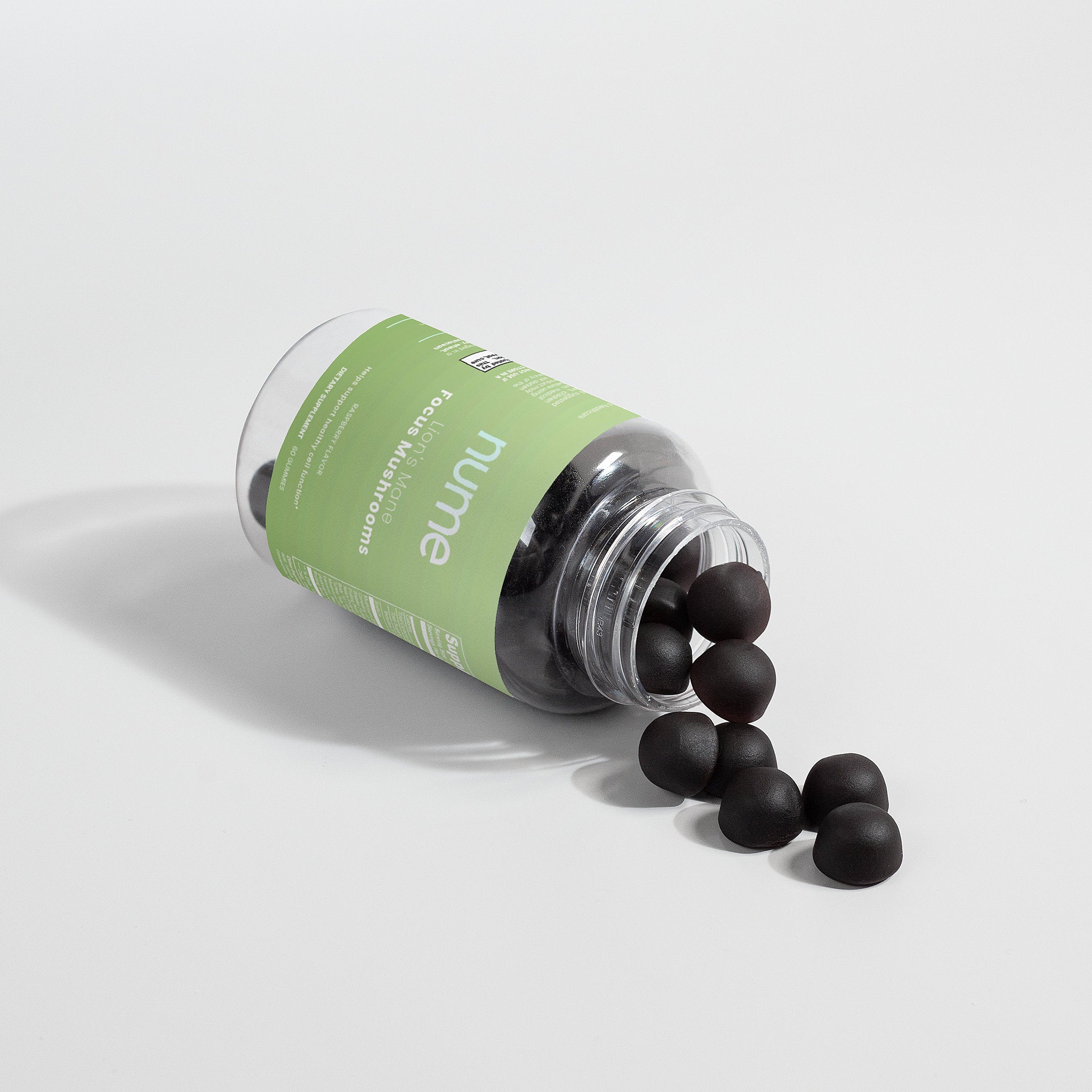 Lion's Mane Focus Mushrooms