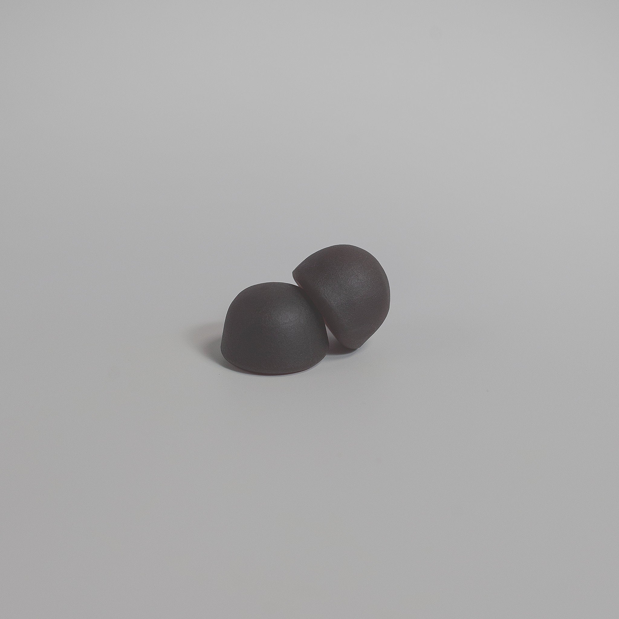 Lion's Mane Focus Mushrooms